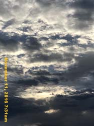 IMG_1395