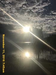 IMG_1397
