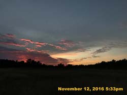 IMG_1451