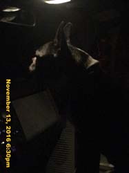 IMG_1491