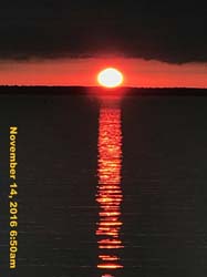 IMG_1510