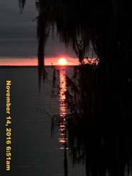 IMG_1511