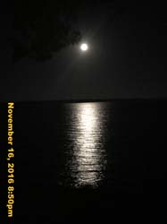 IMG_1581