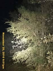 IMG_1670