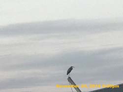 IMG_1875