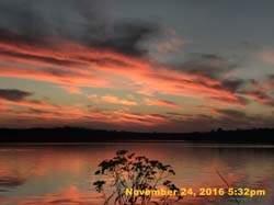 IMG_1878