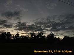 IMG_1931