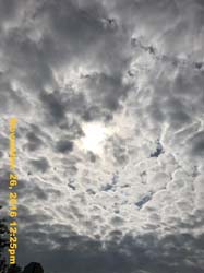 IMG_1945