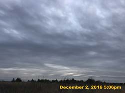 IMG_2219
