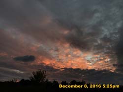 IMG_2349