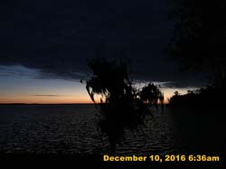 IMG_2442