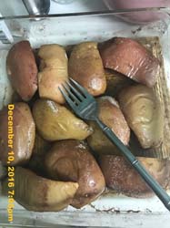 IMG_2466