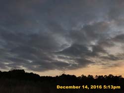 IMG_2551
