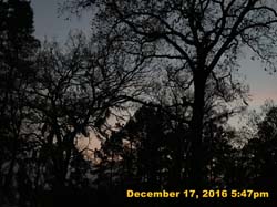 IMG_2627