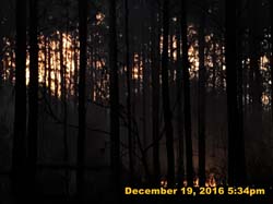 IMG_2761