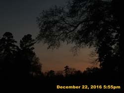 IMG_2936