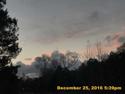 IMG_3105