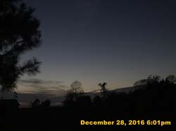 IMG_3229
