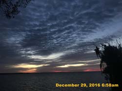 IMG_3239