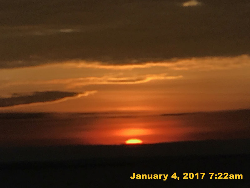 IMG_3561