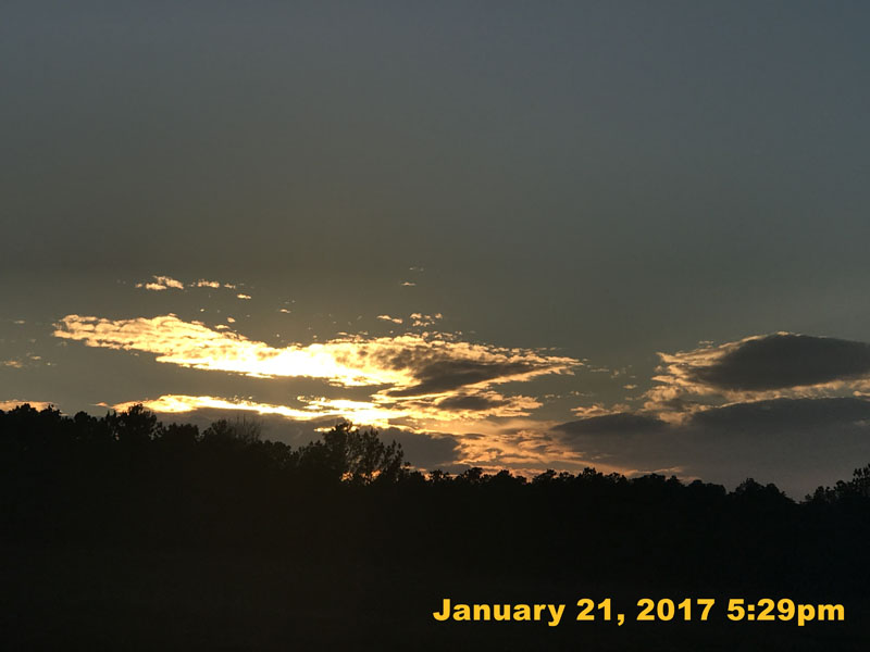 IMG_4131
