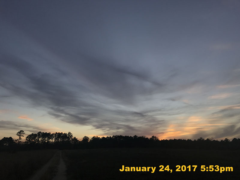 IMG_4260