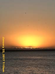 IMG_4166