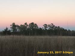 IMG_4224