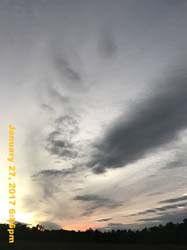 IMG_4373