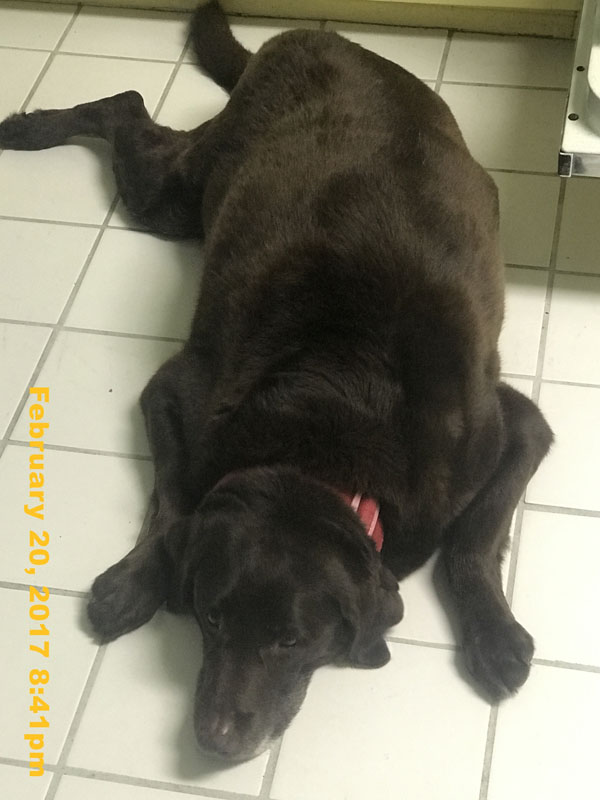 IMG_5305