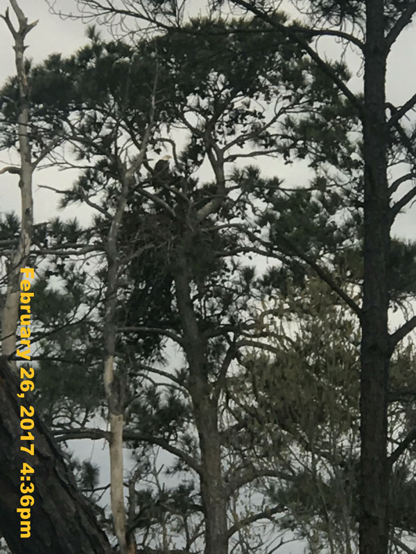 IMG_5474