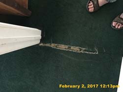 IMG_4562