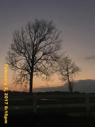 IMG_4590