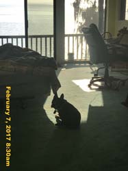 IMG_4710