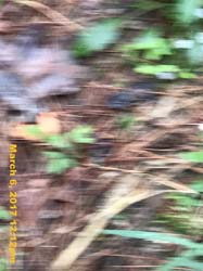 IMG_5827