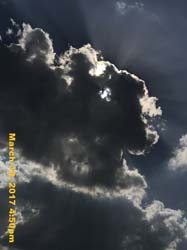 IMG_6178