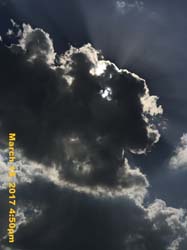 IMG_6179