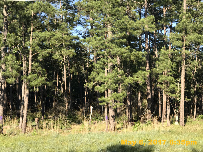 IMG_0748