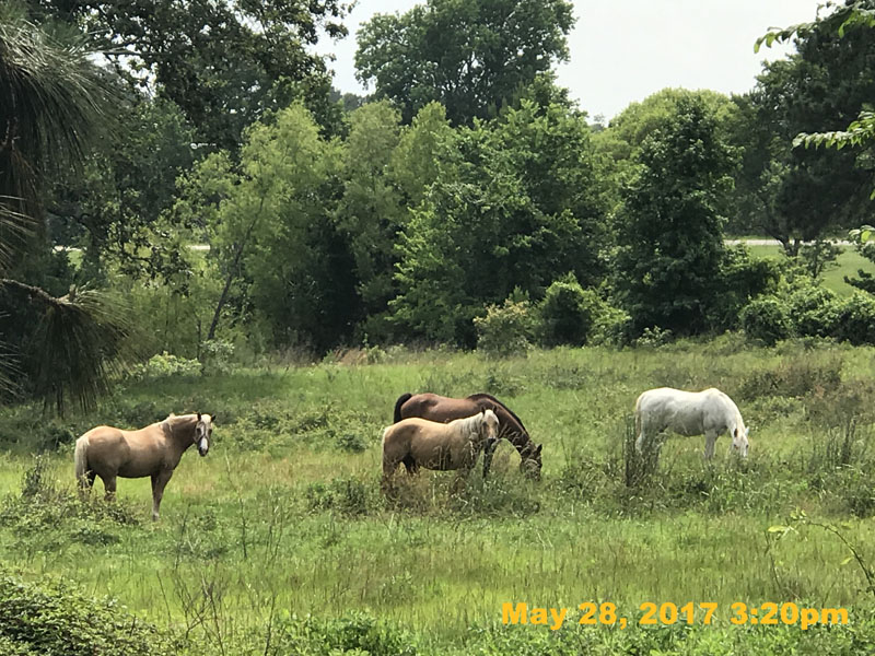 IMG_1246