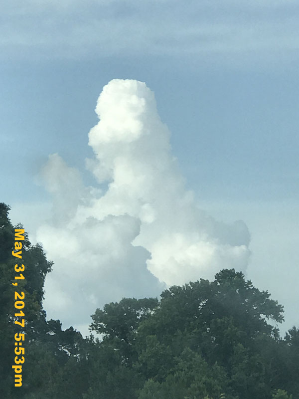 IMG_1313