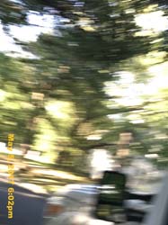 IMG_0698