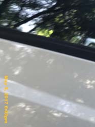 IMG_0700