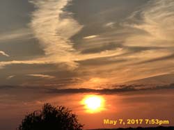 IMG_0804