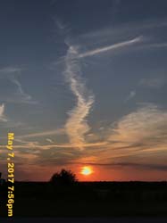 IMG_0805