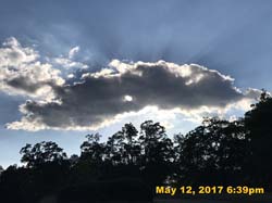 IMG_0873