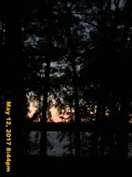 IMG_0877