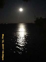 IMG_0885