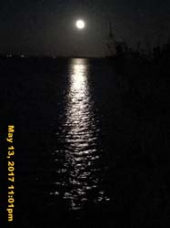 IMG_0900