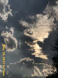 IMG_0985