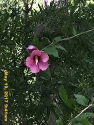 IMG_1002